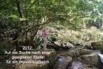 bild069.jpg --- erstellt mit  - www.abbe-felix.de